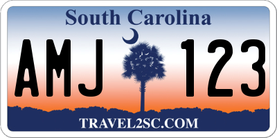 SC license plate AMJ123