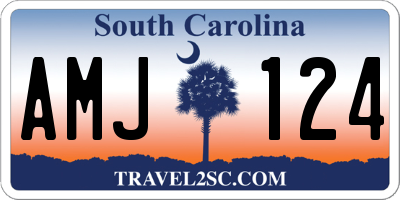 SC license plate AMJ124