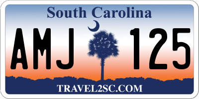 SC license plate AMJ125