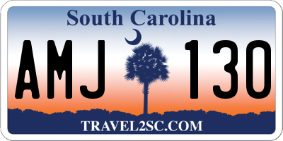 SC license plate AMJ130