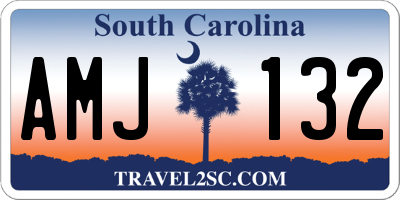 SC license plate AMJ132