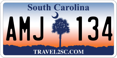 SC license plate AMJ134