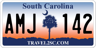 SC license plate AMJ142