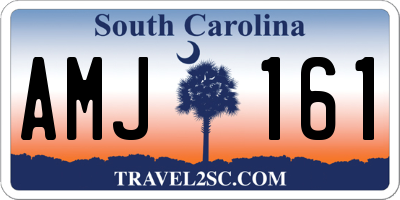 SC license plate AMJ161