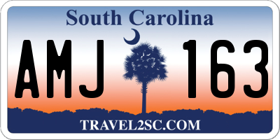 SC license plate AMJ163