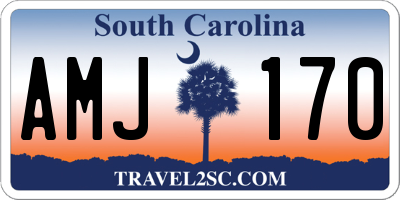 SC license plate AMJ170