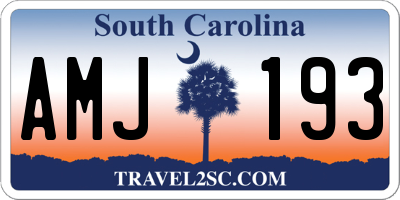 SC license plate AMJ193