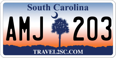 SC license plate AMJ203