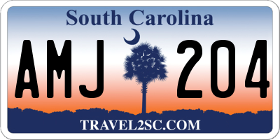 SC license plate AMJ204