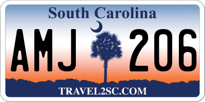 SC license plate AMJ206