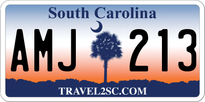 SC license plate AMJ213