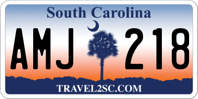 SC license plate AMJ218