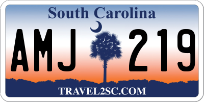 SC license plate AMJ219