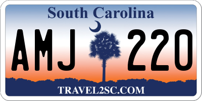 SC license plate AMJ220