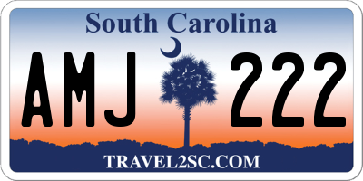 SC license plate AMJ222