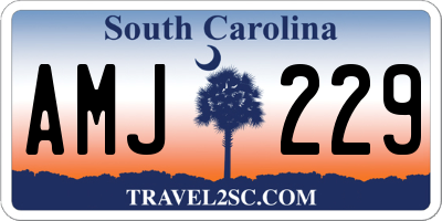 SC license plate AMJ229