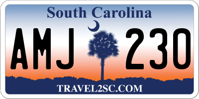 SC license plate AMJ230
