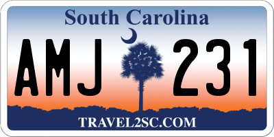 SC license plate AMJ231