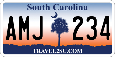 SC license plate AMJ234