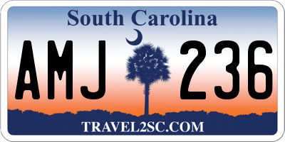 SC license plate AMJ236