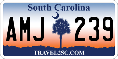 SC license plate AMJ239