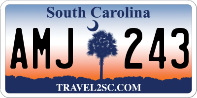SC license plate AMJ243