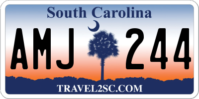 SC license plate AMJ244
