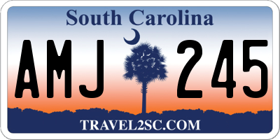 SC license plate AMJ245