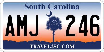 SC license plate AMJ246
