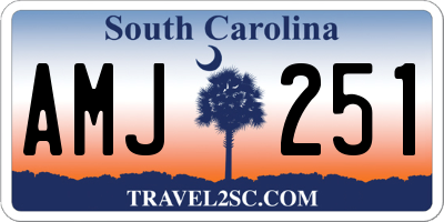 SC license plate AMJ251