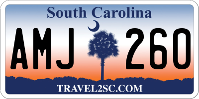 SC license plate AMJ260