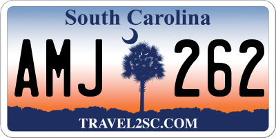 SC license plate AMJ262