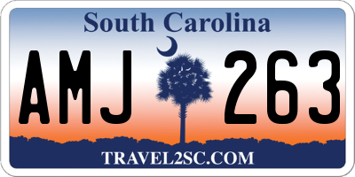 SC license plate AMJ263