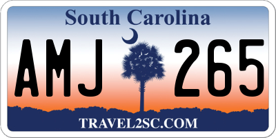 SC license plate AMJ265
