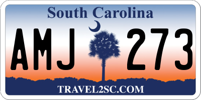 SC license plate AMJ273