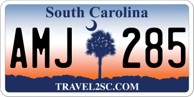 SC license plate AMJ285