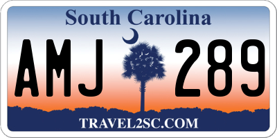 SC license plate AMJ289