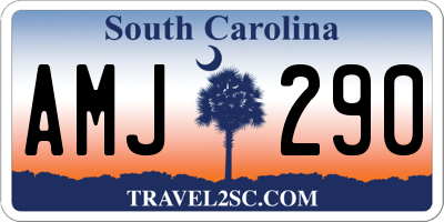 SC license plate AMJ290