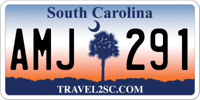 SC license plate AMJ291