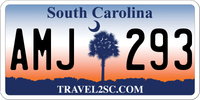 SC license plate AMJ293