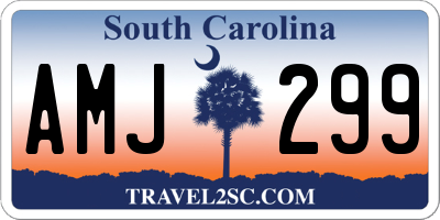 SC license plate AMJ299
