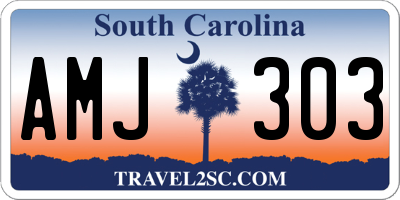 SC license plate AMJ303