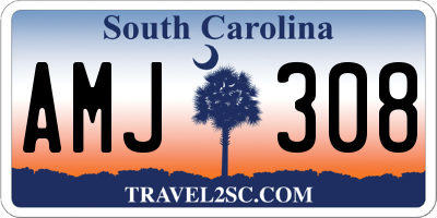 SC license plate AMJ308