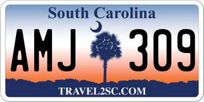SC license plate AMJ309
