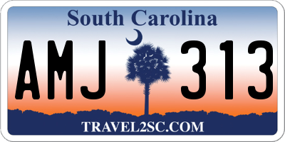 SC license plate AMJ313