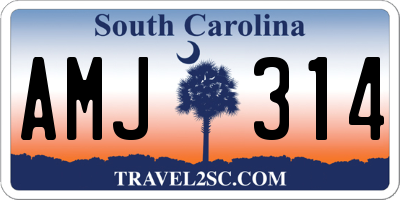 SC license plate AMJ314