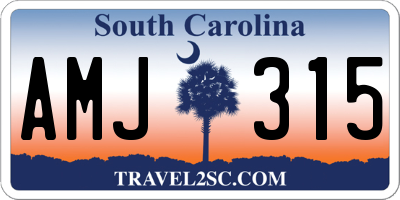 SC license plate AMJ315
