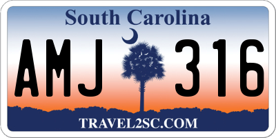SC license plate AMJ316