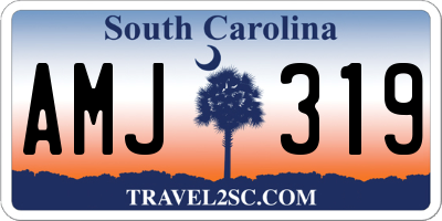 SC license plate AMJ319