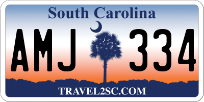 SC license plate AMJ334